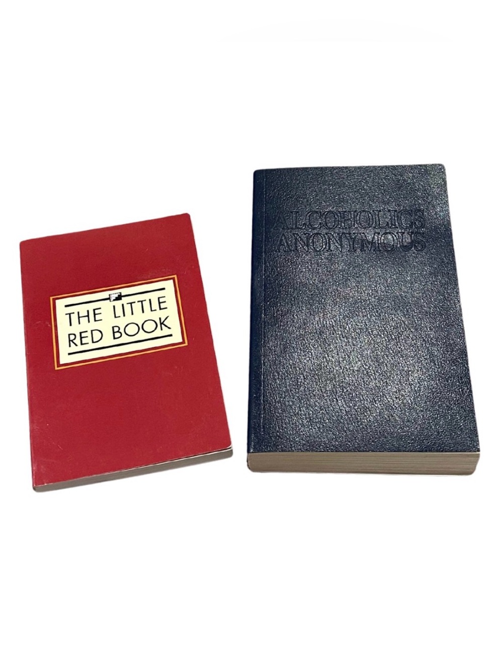 AA Big Blue Book & The Little Red Book Bundle | New